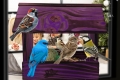 InCollage_20260417_114852293.jpg