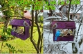 InCollage_20260417_154459795.jpg