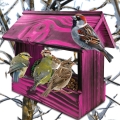 InCollage_20260415_165750624.jpg
