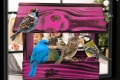 InCollage_20260417_114825681.jpg