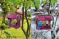 InCollage_20260417_154329677.jpg
