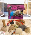 InCollage_20260417_164924295.jpg