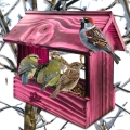InCollage_20260415_165716866.jpg