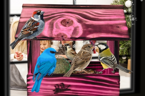 InCollage_20260417_114749430.jpg