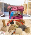 InCollage_20260417_164903950.jpg