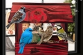 InCollage_20260417_114717234.jpg