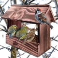 InCollage_20260415_165154052.jpg