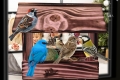 InCollage_20260417_114400876.jpg