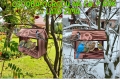 InCollage_20260417_154215626.jpg
