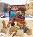 InCollage_20260417_164817519.jpg