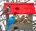 InCollage_20260714_132226691.jpg