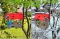 InCollage_20260715_165710646.jpg
