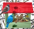 InCollage_20260713_155527518.jpg