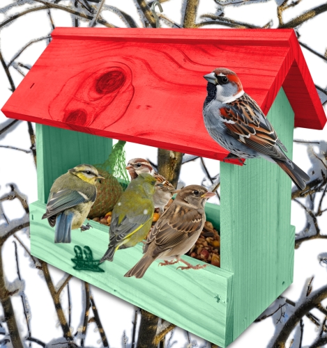 InCollage_20260710_134950233.jpg
