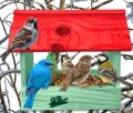 InCollage_20260713_125153162.jpg