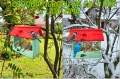 InCollage_20260715_164941781.jpg