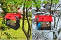 InCollage_20260715_165622095.jpg