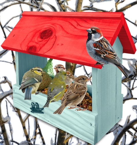 InCollage_20260710_134906119.jpg