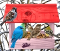 InCollage_20260713_125006073.jpg