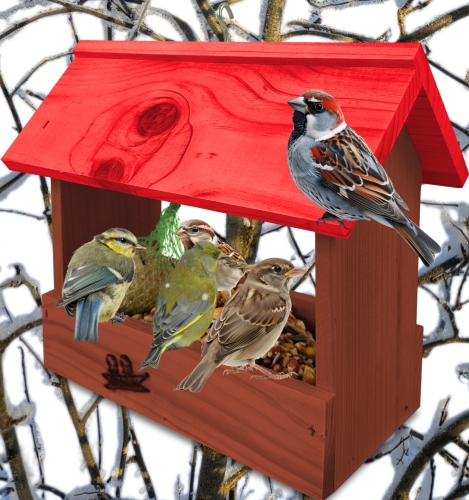 InCollage_20260710_134603660.jpg