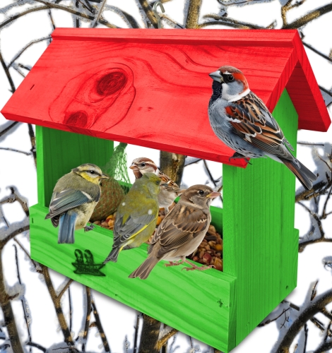 InCollage_20260710_134422331.jpg