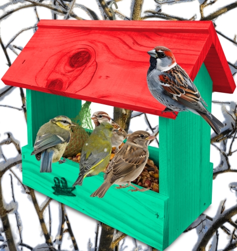 InCollage_20260710_134330240.jpg
