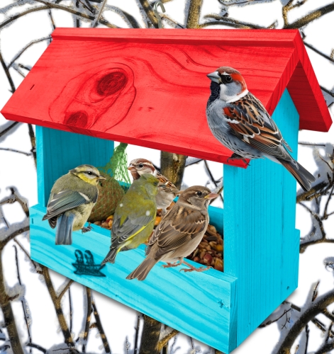 InCollage_20260710_134254623.jpg