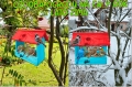 InCollage_20260715_164009837.jpg