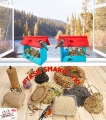 InCollage_20260716_144244382.jpg