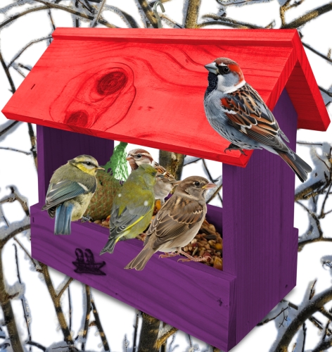InCollage_20260710_134144993.jpg