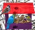 InCollage_20260713_124521956.jpg