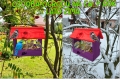 InCollage_20260715_163924396.jpg