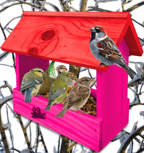 InCollage_20260710_134116408.jpg