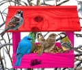 InCollage_20260713_124455581.jpg
