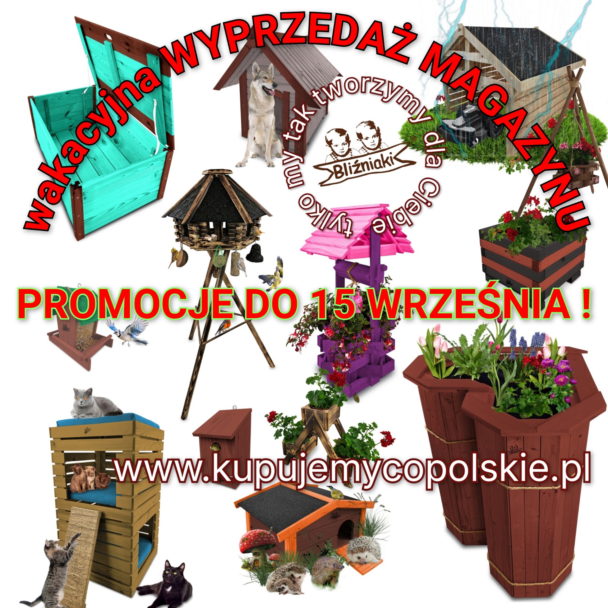 Baner główny